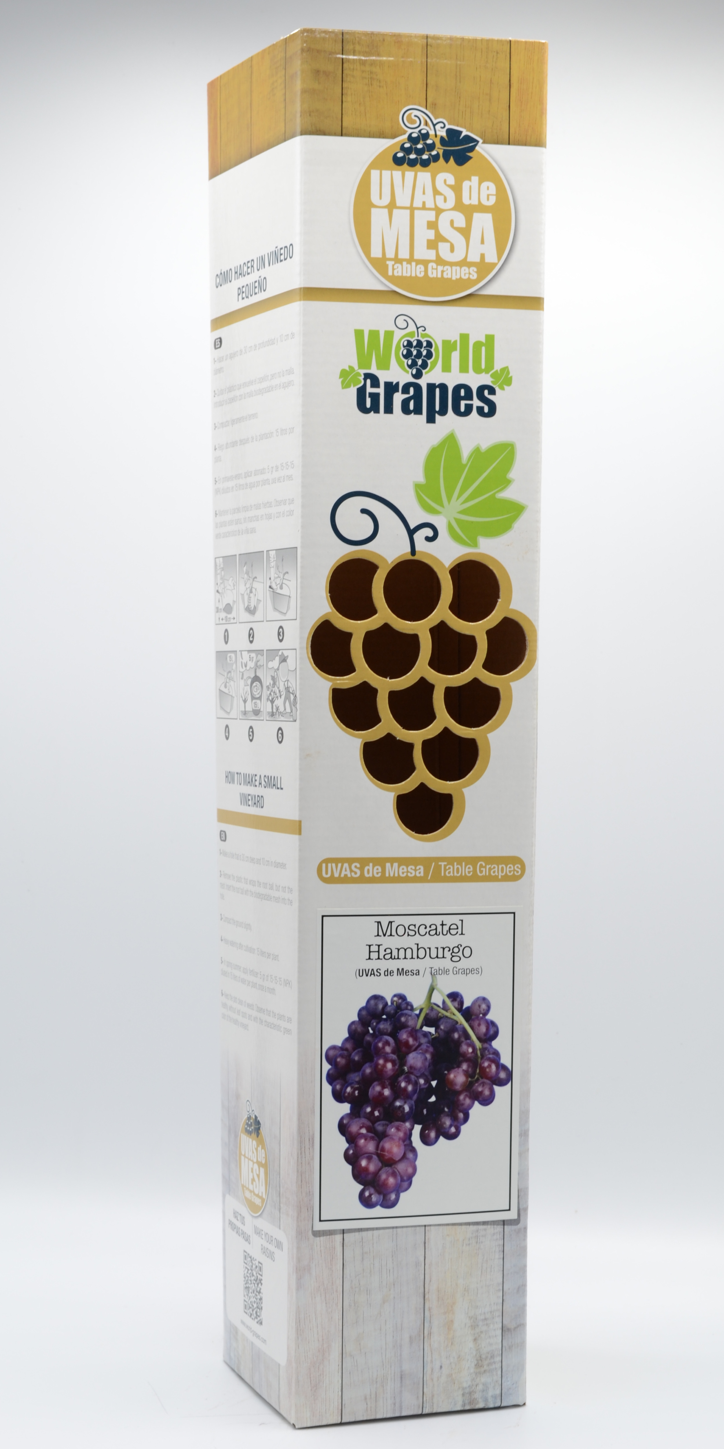 World-Grapes Muscat Hambourg